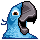 Anasayfa